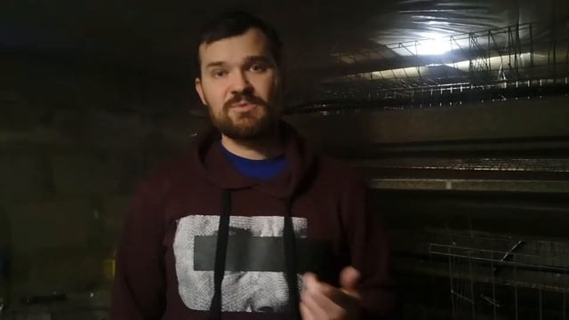 О отоплении курятника. Болталка о породе и покупке курей. Где покупать!? смотреть онлайн