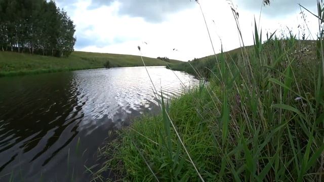 Это однозначно ЩУЧЬЯ погода! Ловля Щуки на воблер летом. смотреть онлайн