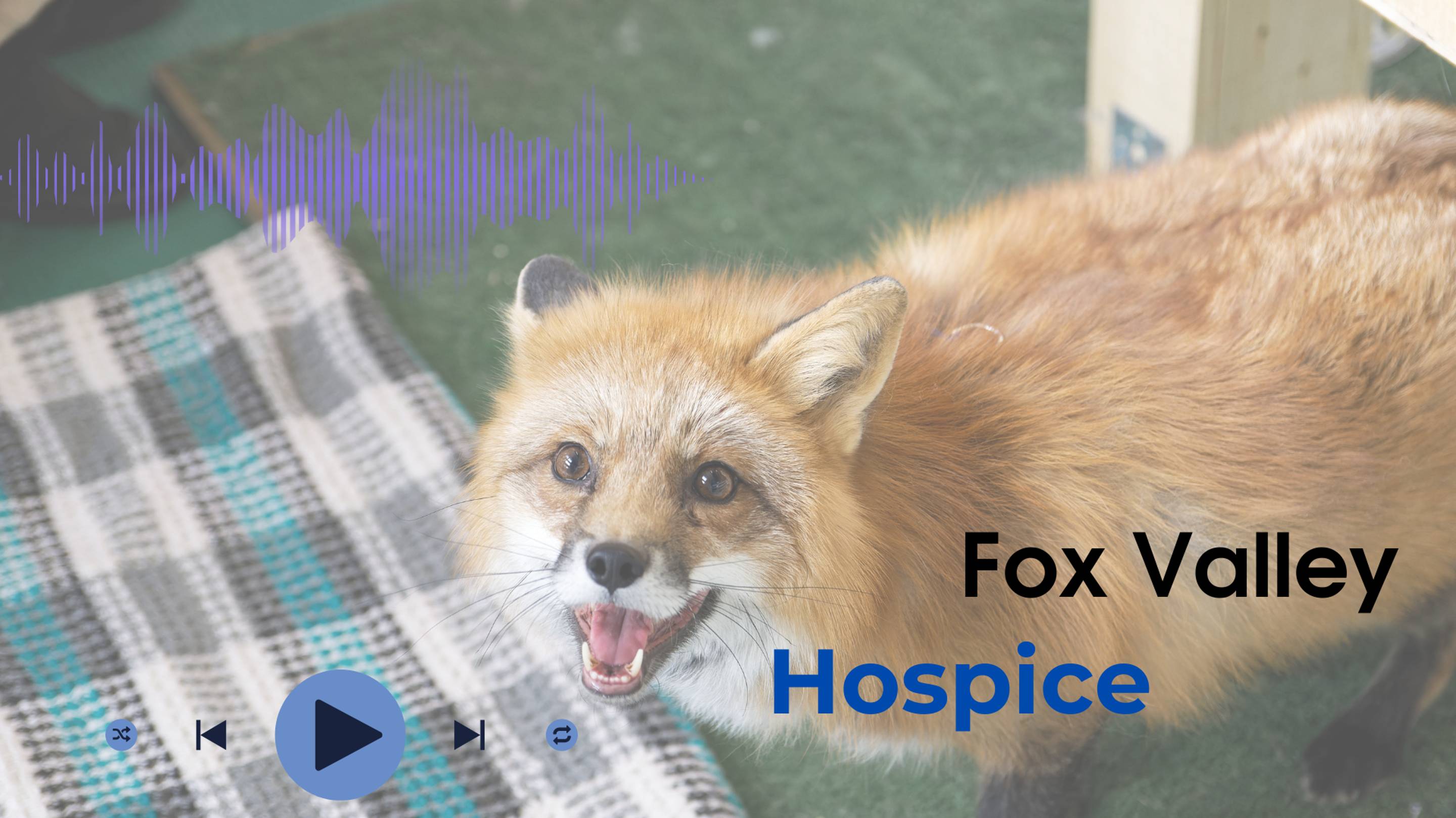 Fox Valley - Hospice Harat's 2016