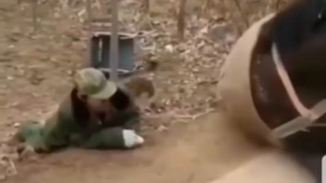 Лошадь спасла инвалида смотреть онлайн