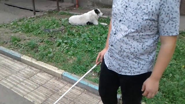 Владимир Васкевич комментирует укладку тактильной плитки смотреть онлайн