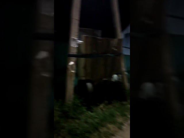 Как можно припарковать машину смотреть онлайн