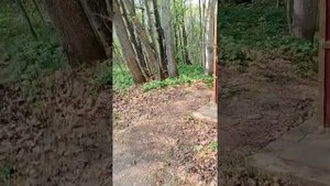 святой источник анисьины грядки, семиозерка. казань