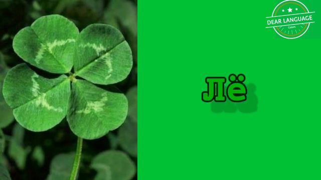 Russian language | colours in Russian | Learn Russian | Цветы | Русский язык смотреть онлайн