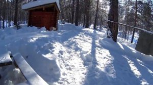 ПРОГУЛКА НА МОТО-ТОЛКАЧЕ В ЗИМНИЙ ЛЕС/23 ФЕВРАЛЯ