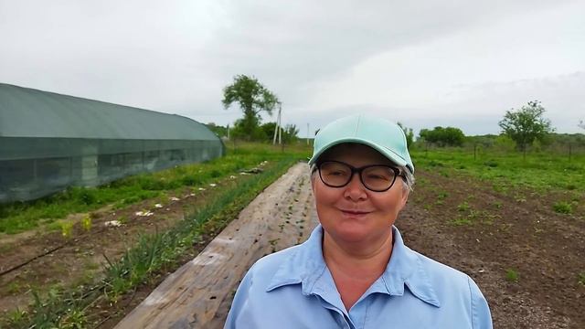 Микориза. Тестирую на клубнике. Пригород Воронежа. смотреть онлайн