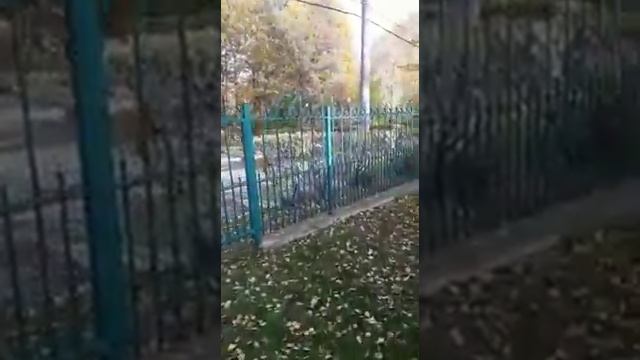 Выпуск длиннохвостая синица