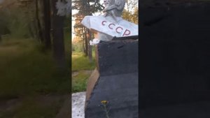 Центральный Коспашский обзор