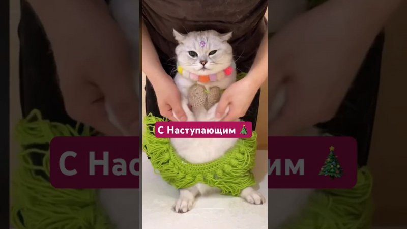 30 декабря 2023 г.
