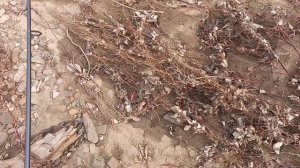 Открытие по голавлю 25 февраля 2022