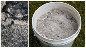 Как сохранить КЛЕМАТИСЫ  ЗДОРОВЫМИ. Профилактика в сентябре.ВОПРОС-ОТВЕТ