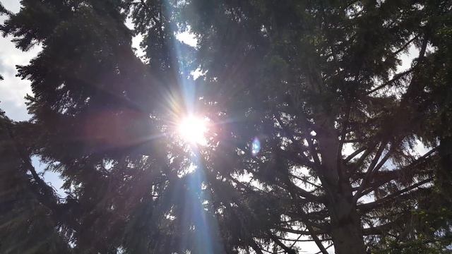Медитация для расслабления. Тета и дельта состояния. Отдохните!