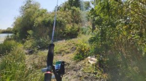 Рыбачим с Константином на Золотом канале!