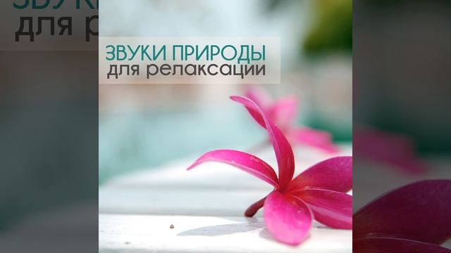 Расслабиться