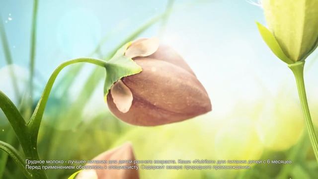 Каши Nutrilon смотреть онлайн