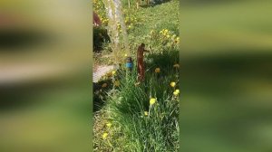 Замена крана летнего водопровода