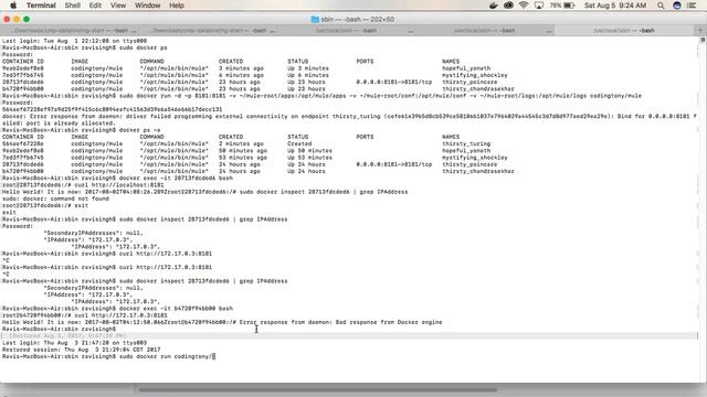 How To Deploy And Run Mule in Docker- Ravi Singh смотреть онлайн