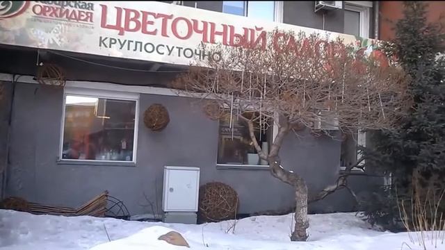 Весна в городе! Из Новосибирска с любовью! смотреть онлайн