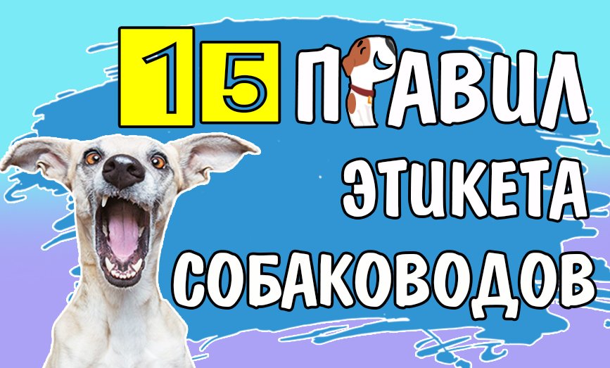 15 правил этикета для собаководов
