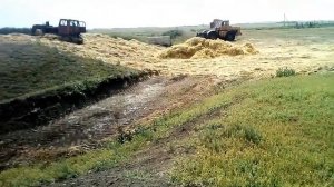 Заготовка кормов для КРС, сенаж