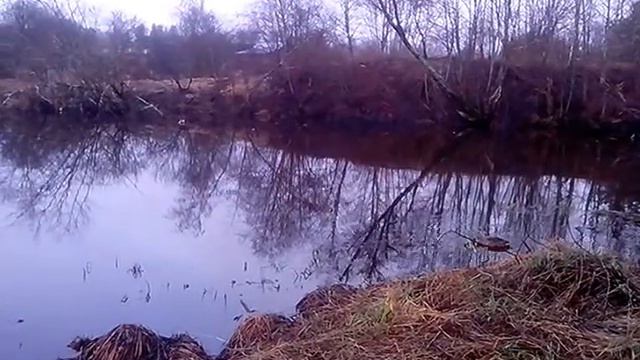 Работа подсадной утки смотреть онлайн