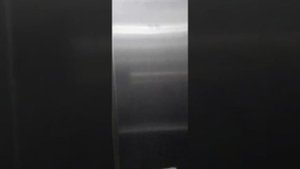 Лифт Елм (музыкальный) на станции метро „Народное Ополчение”