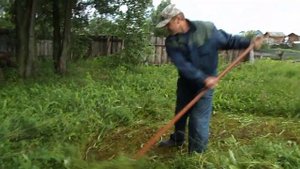 Косьба ручной косой 2.07.17. Scythe.