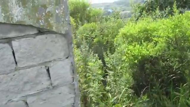 Находки на старой погранзаставе ! С Vanquish 540 ! смотреть онлайн