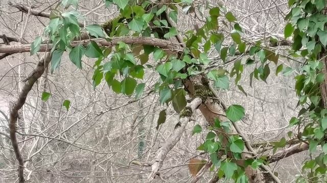 Одна из самых удивительных и таинственных стихий.