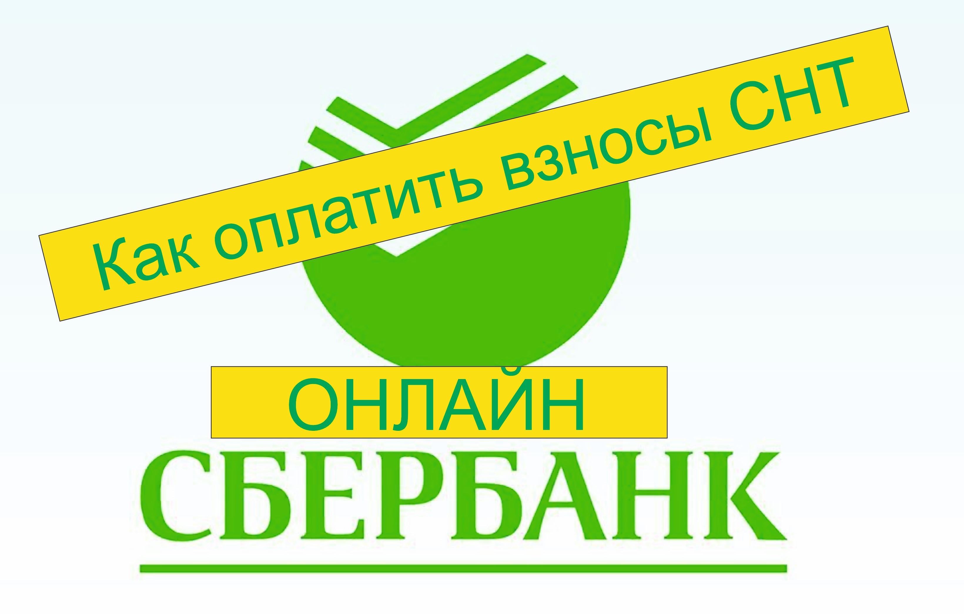 Взносы снт 2024