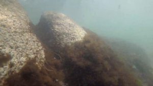 Ольга (Приморский край)