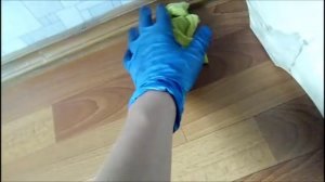 Как избавится от муравьев дома