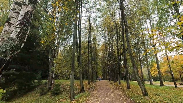 GoPro 10: тесты и борьба с качеством записи – техническое видео смотреть онлайн