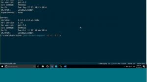 Docker in Windows Server 2016