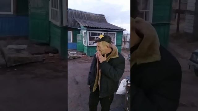 застенчивый головень