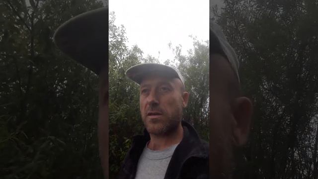 31 августа 2022 г. смотреть онлайн