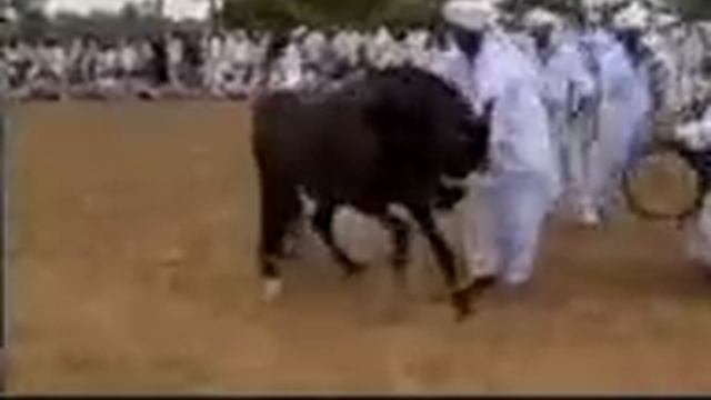 Лизгинка (Лошадь) смотреть онлайн