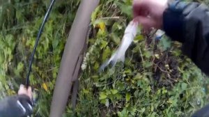 Фидерная рыбалка в сентябре.