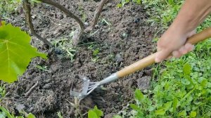 Рыхлитель-плоскорез для сада и огорода