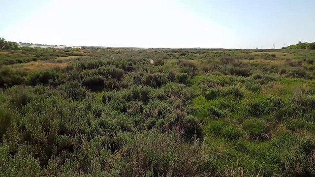 Исчезнувшее село Нижняя Платовка / Новосергиевский район / Малая Родина