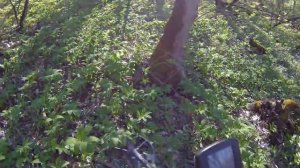 МЕТАЛЛОИСКАТЕЛЬ Minelab CTX 3030 в лесу