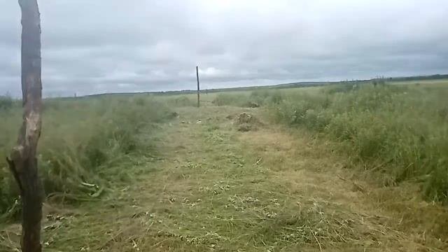 ОГОРАЖИВАЕМ УЧАСТОК СПОДРУЧНЫМИ СРЕДСТВАМИ!!! освоение земли часть1
