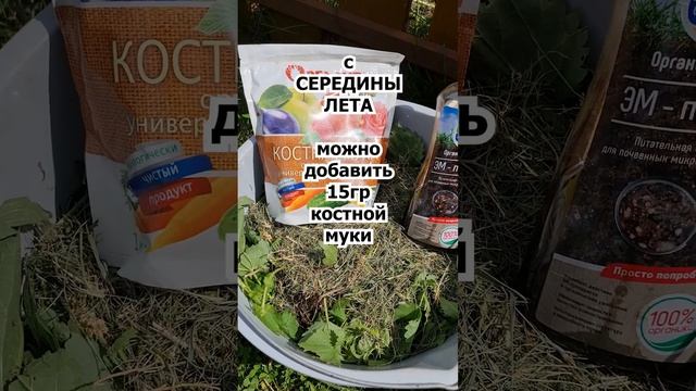 ЛУЧШИЕ БЕСПЛАТНЫЕ ПОДКОРМКИ ОГУРЦОВ #shorts ЗЕЛЕНОЕ УДОБРЕНИЕ для всего Огорода!