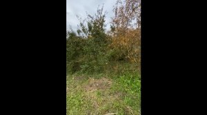 Продам 2-х этажную Дачу 55м2 на участке 9 соток. СНТ Ветеран