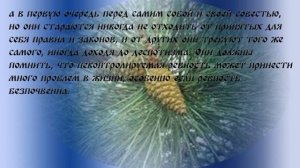 Чертoг ЛЕБЕДЯ (3 - 24 ноября)