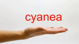 How to Pronounce cyanea - American English