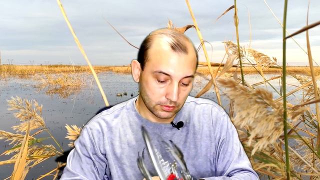 Лучшая игрушка для спаниеля своими руками смотреть онлайн