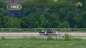 Открытый приз. Чистокровная английская: кобылы трех лет. Пятигорский ипподром.06.06.2021