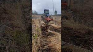 Чудо трактор!) Подготовка почвы под посадку лесных культур!