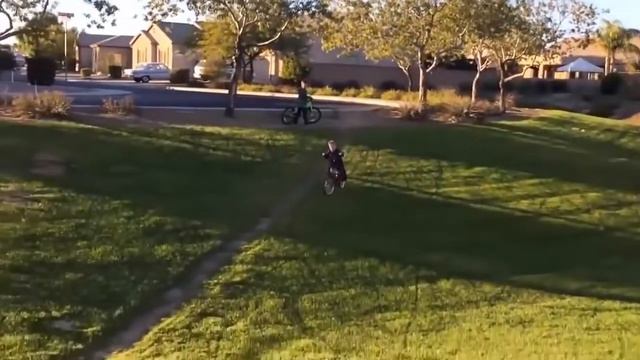 Приколы. Самое смешное видео. Смешные животные. 2017 Апрель №9 смотреть онлайн